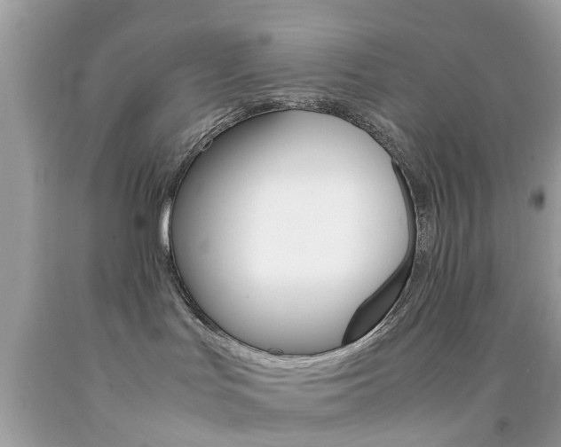 X0000092090047200709121135