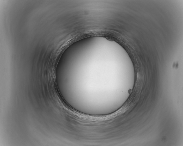 X0000092090048200709121135