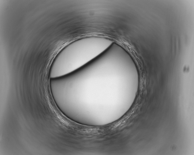 X0000092090049200709121134