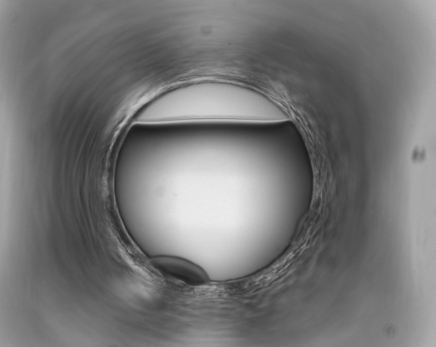 X0000092090050200709121134