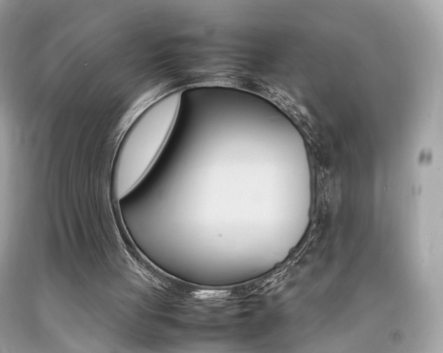 X0000092090051200709121134