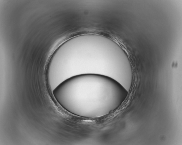 X0000092090053200709121134