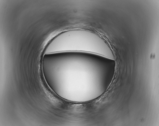 X0000092090054200709121134
