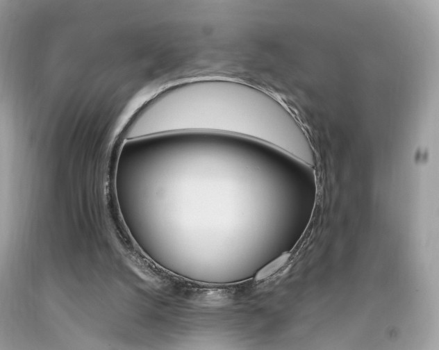 X0000092090056200709121134