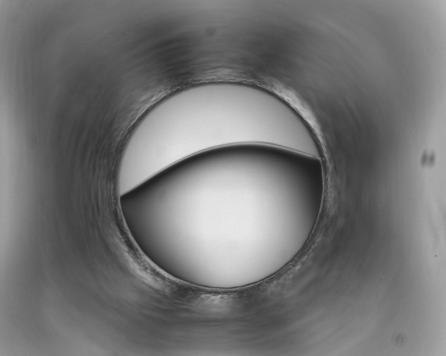 X0000092090057200709121134