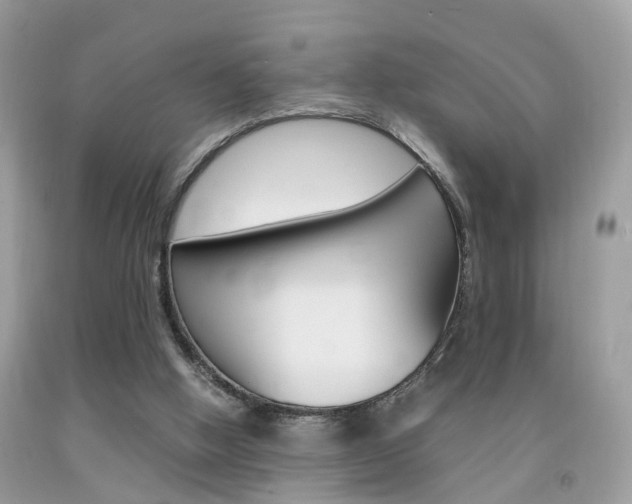 X0000092090058200709121134