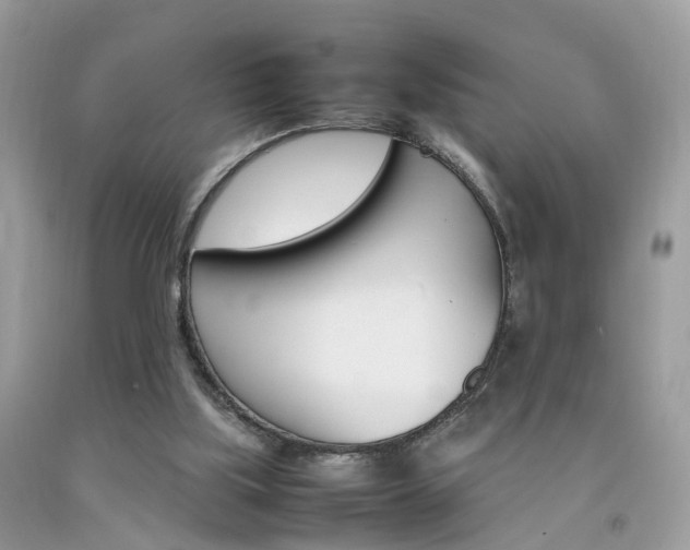 X0000092090059200709121134