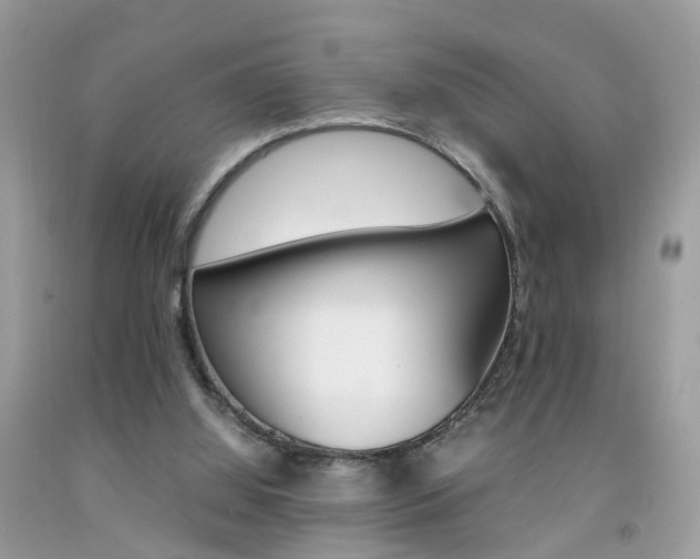 X0000092090060200709121134