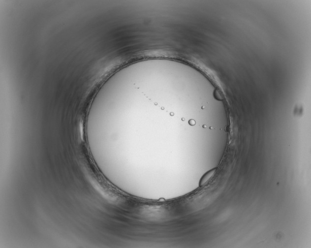 X0000092090061200709121134