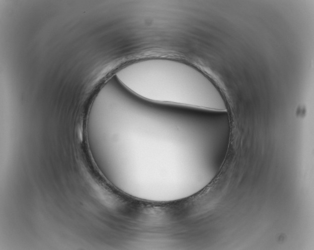 X0000092090062200709121134