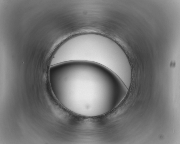X0000092090064200709121134