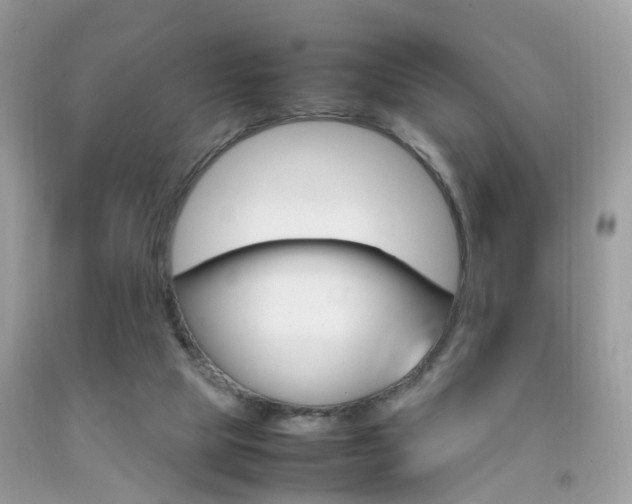 X0000092090065200709121134
