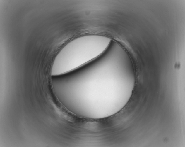 X0000092090066200709121134