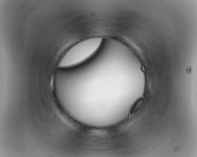 X0000092090067200709121134
