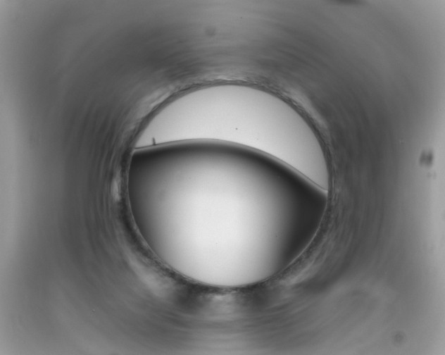 X0000092090068200709121134