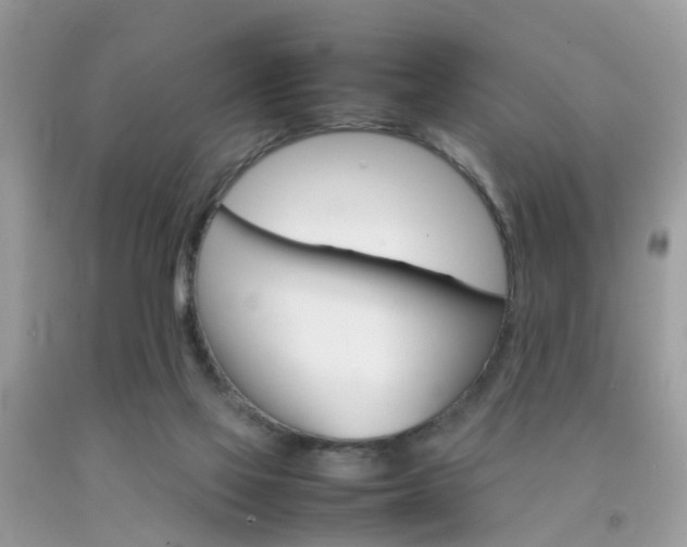 X0000092090069200709121134