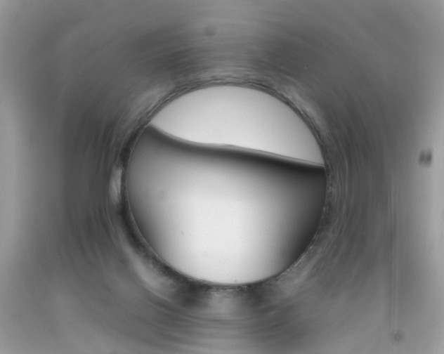 X0000092090070200709121134