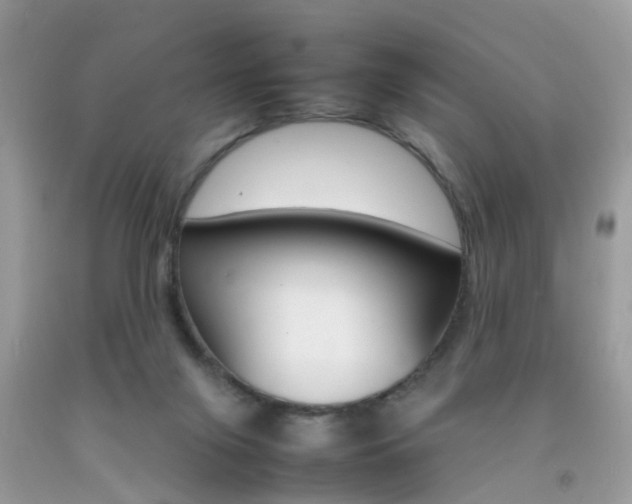 X0000092090071200709121134
