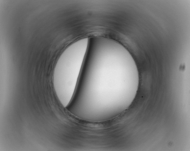 X0000092090073200709121134