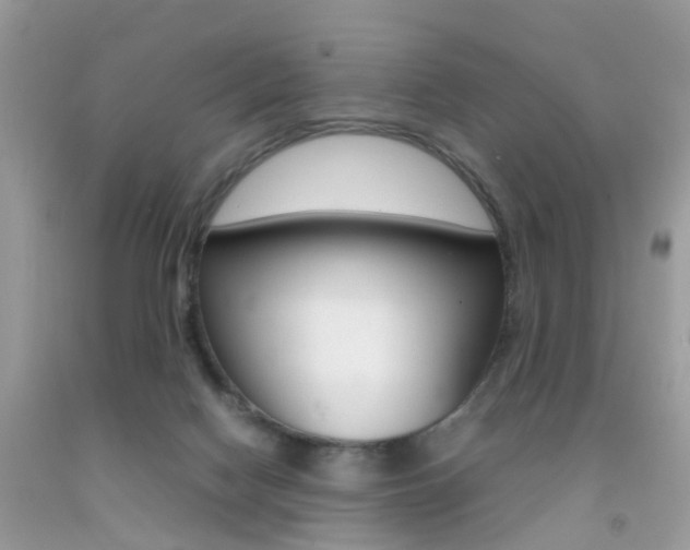 X0000092090074200709121134