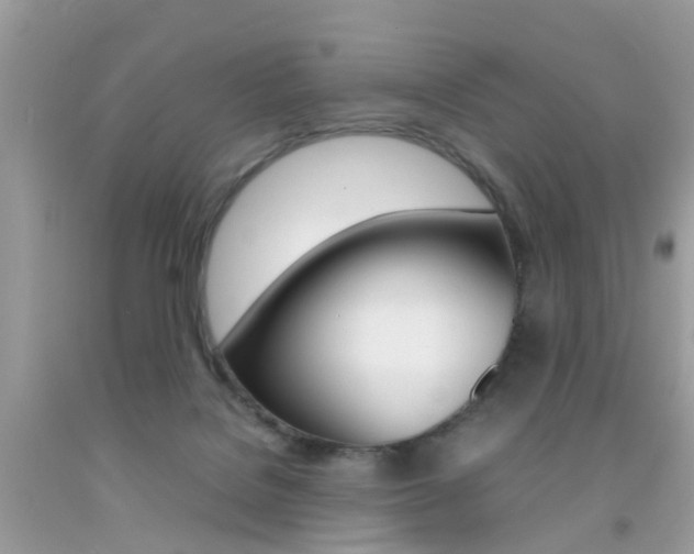 X0000092090076200709121134
