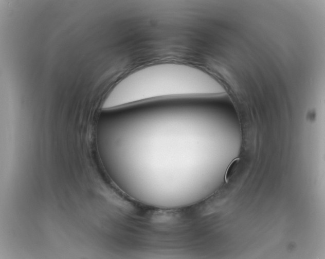X0000092090077200709121134