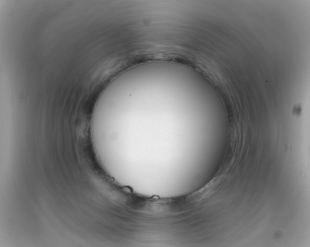 X0000092090078200709121134