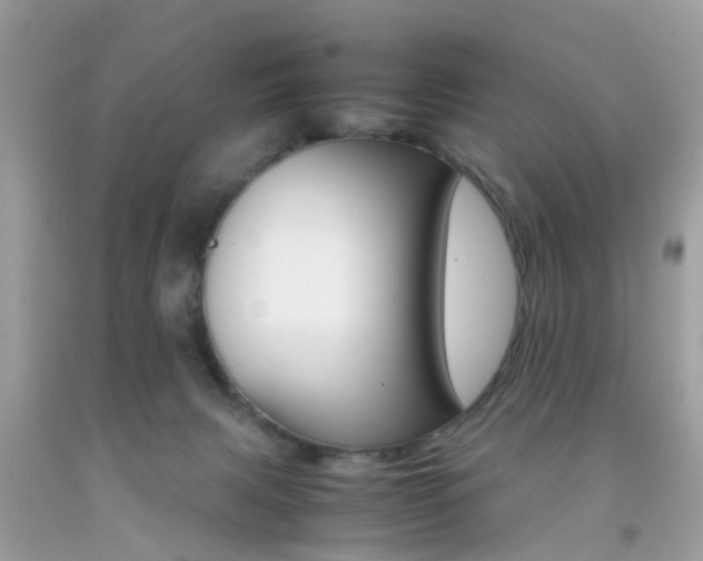 X0000092090079200709121135