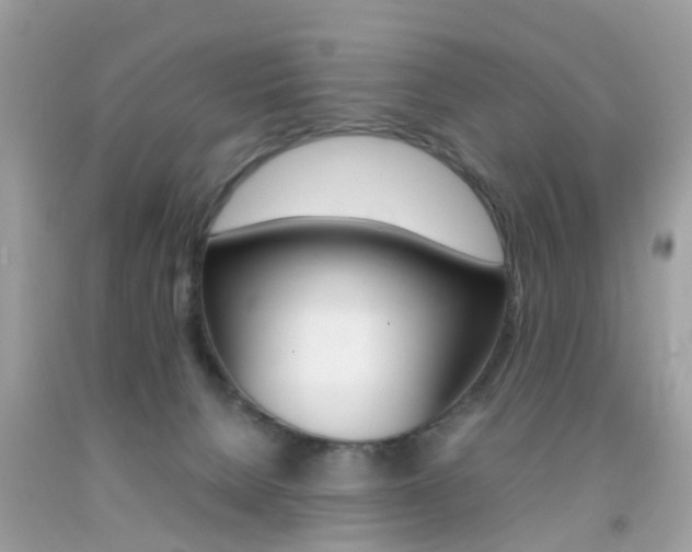 X0000092090080200709121135