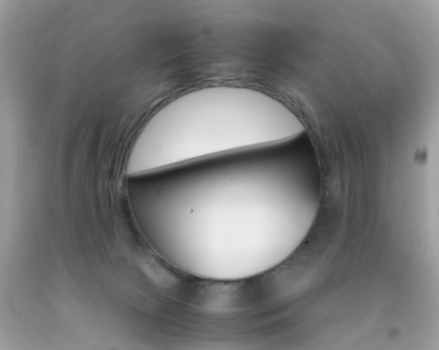 X0000092090081200709121135