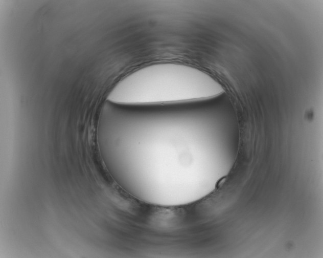 X0000092090083200709121135