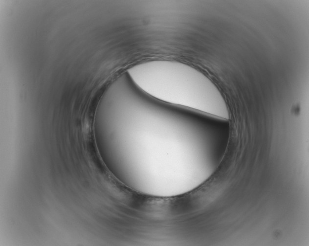 X0000092090084200709121135