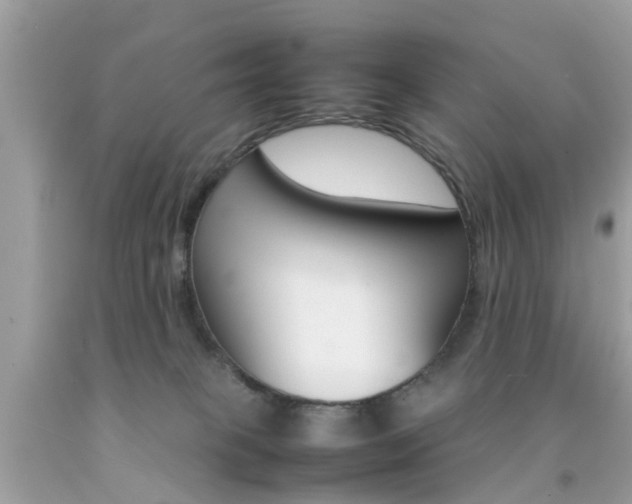 X0000092090085200709121135