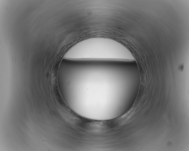 X0000092090086200709121135