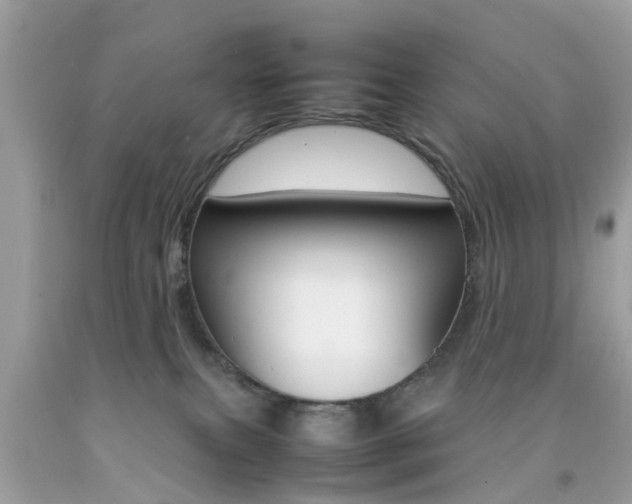 X0000092090087200709121135