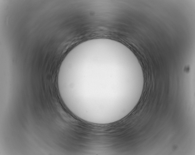 X0000092090088200709121135