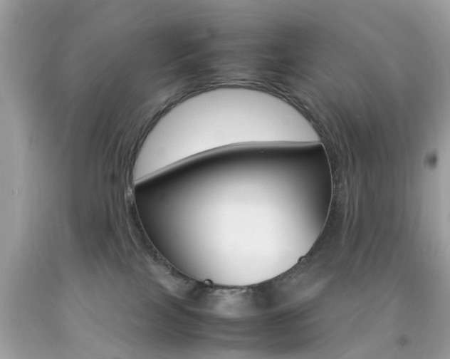 X0000092090089200709121135