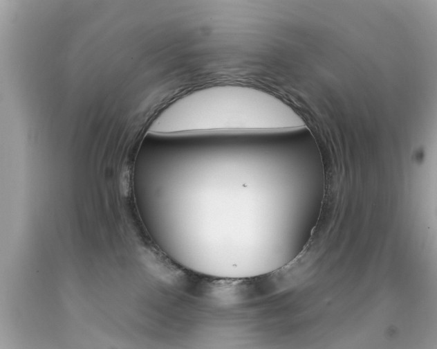 X0000092090090200709121135