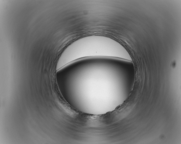 X0000092090092200709121135
