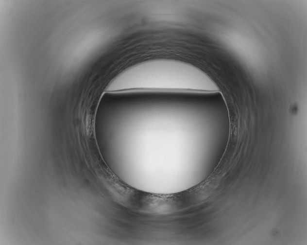 X0000092090093200709121135