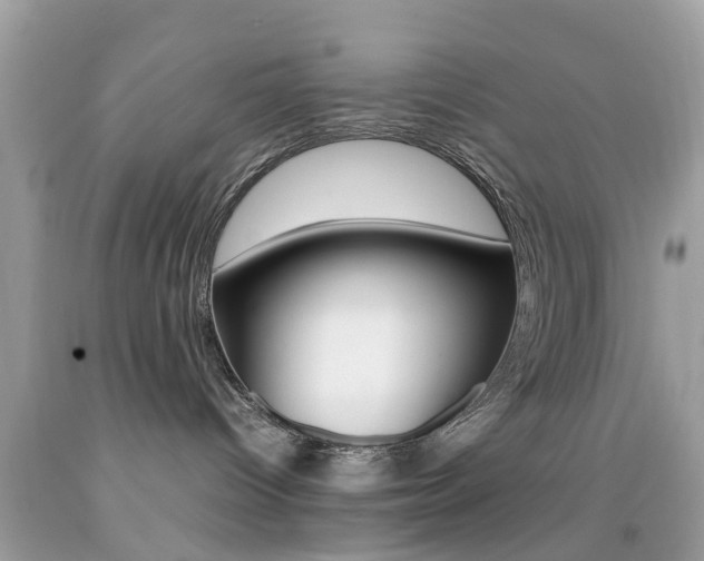 X0000092090096200709121135