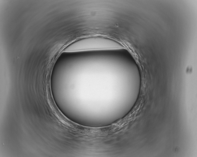 X0000092090097200709121134
