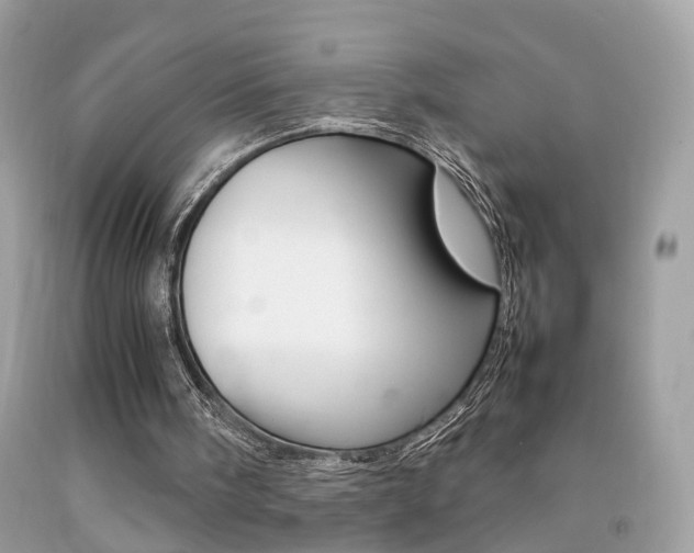 X0000092090098200709121134