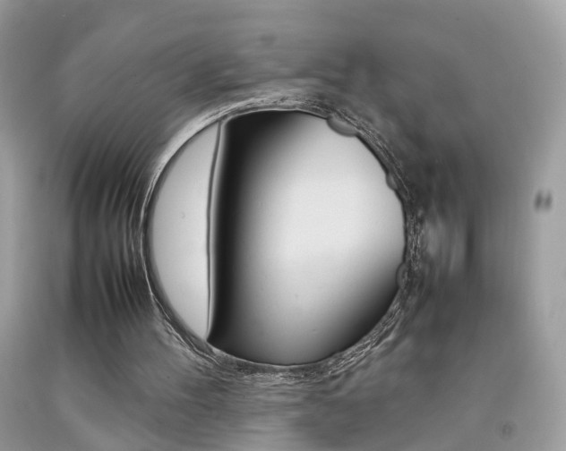 X0000092090100200709121134