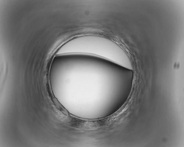X0000092090101200709121134