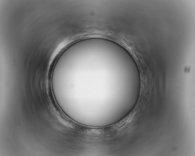 X0000092090102200709121134