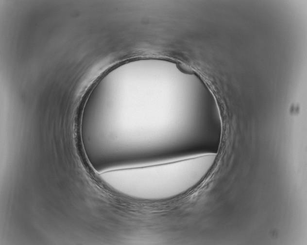 X0000092090103200709121134