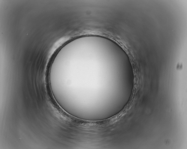 X0000092090104200709121134