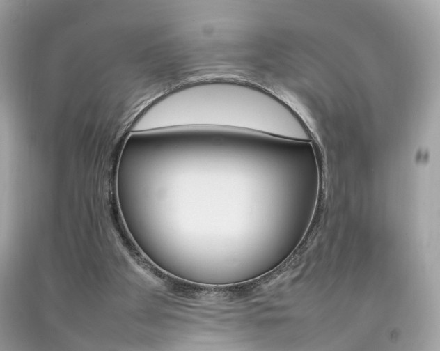 X0000092090105200709121134