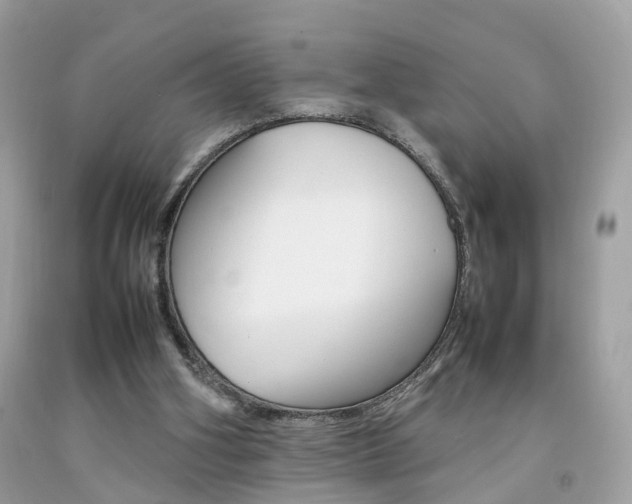 X0000092090106200709121134